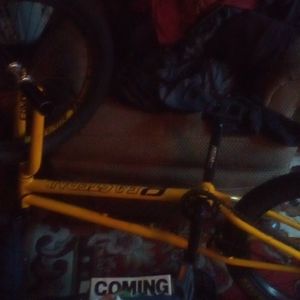 BMX beastern bike